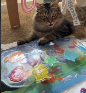 Pet Water Sensory Mat Pad