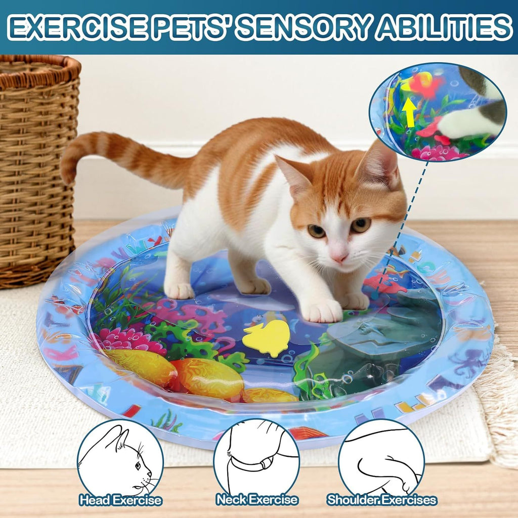 Pet Water Sensory Mat Pad
