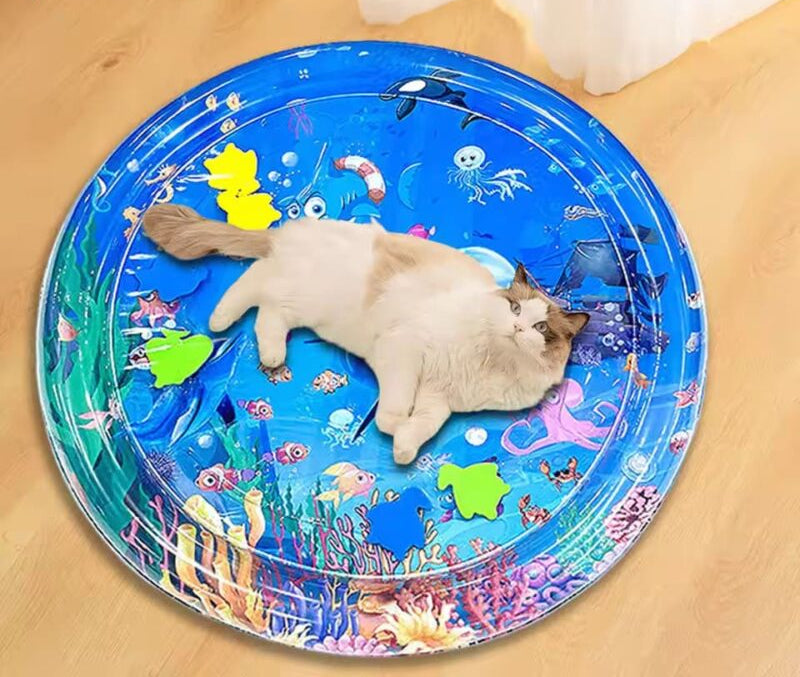 Pet Water Sensory Mat Pad