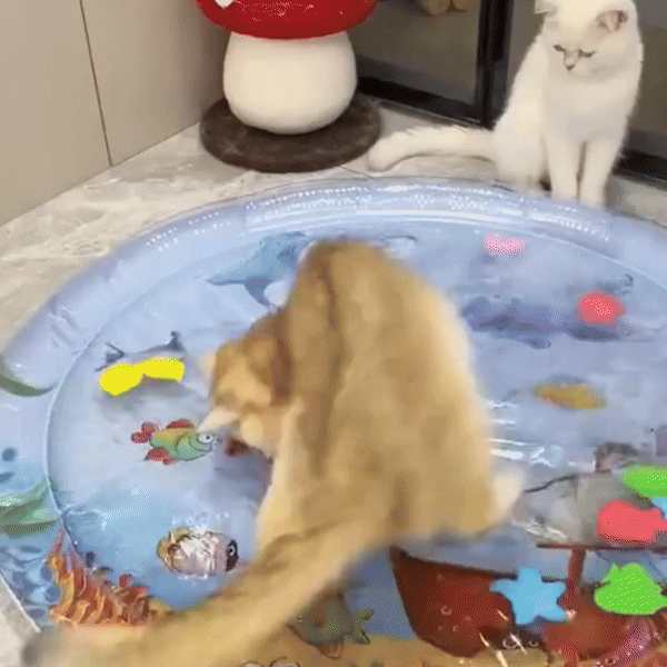 Pet Water Sensory Mat Pad