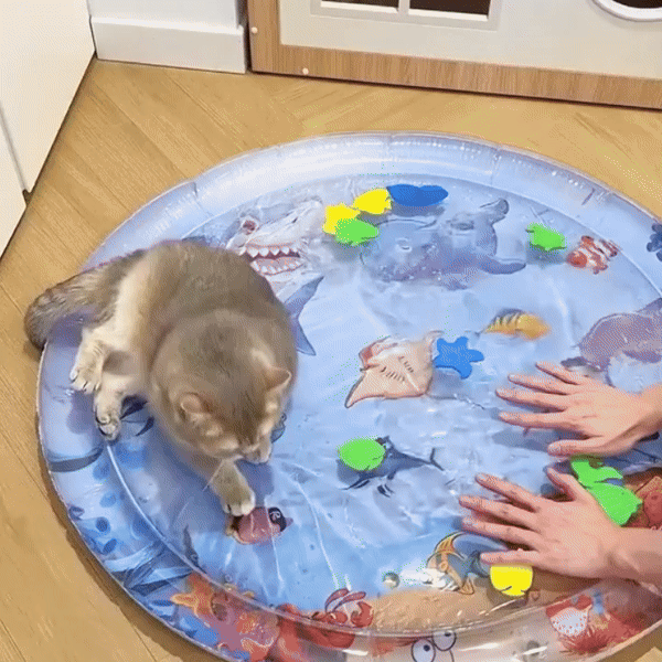 Pet Water Sensory Mat Pad