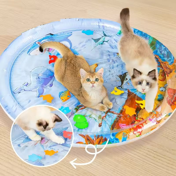 Pet playing with water sensory mat